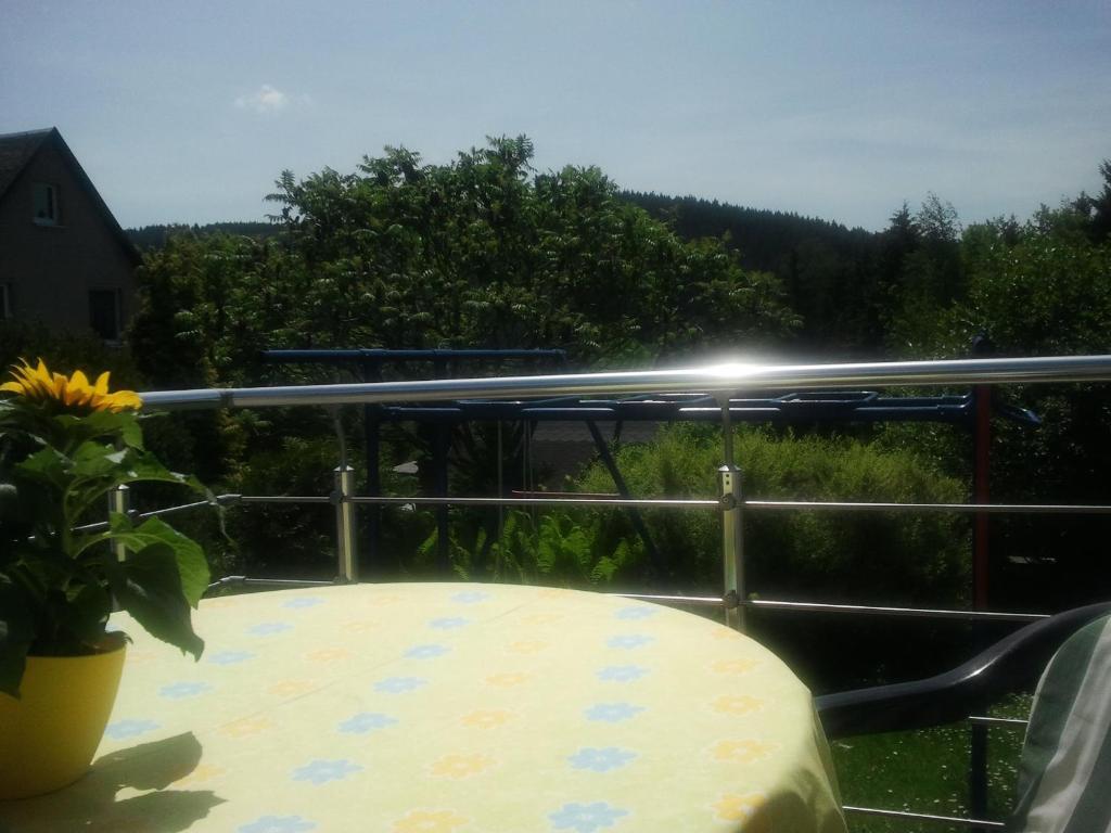 Ferienwohnung Steinbacher Amtsberg Exteriör bild